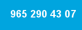 965 290 43 07
